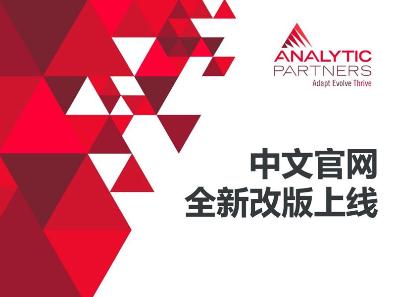 网站建设开发：构建数字世界的桥梁